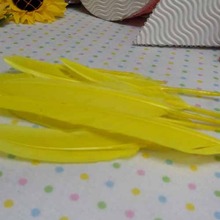 거위깃털-노랑10~15cm(10개입)