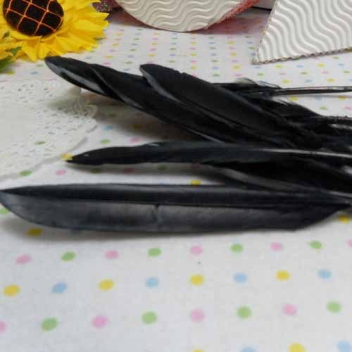 거위깃털-검정10~15cm(10개입)
