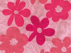 난꽃지1-분홍