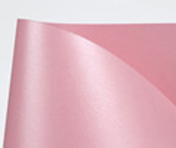 티라미수(8)분홍색펄지-10매