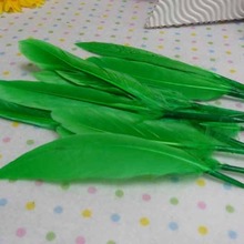 거위깃털-연두10~15cm(10개입)